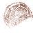 Bola
